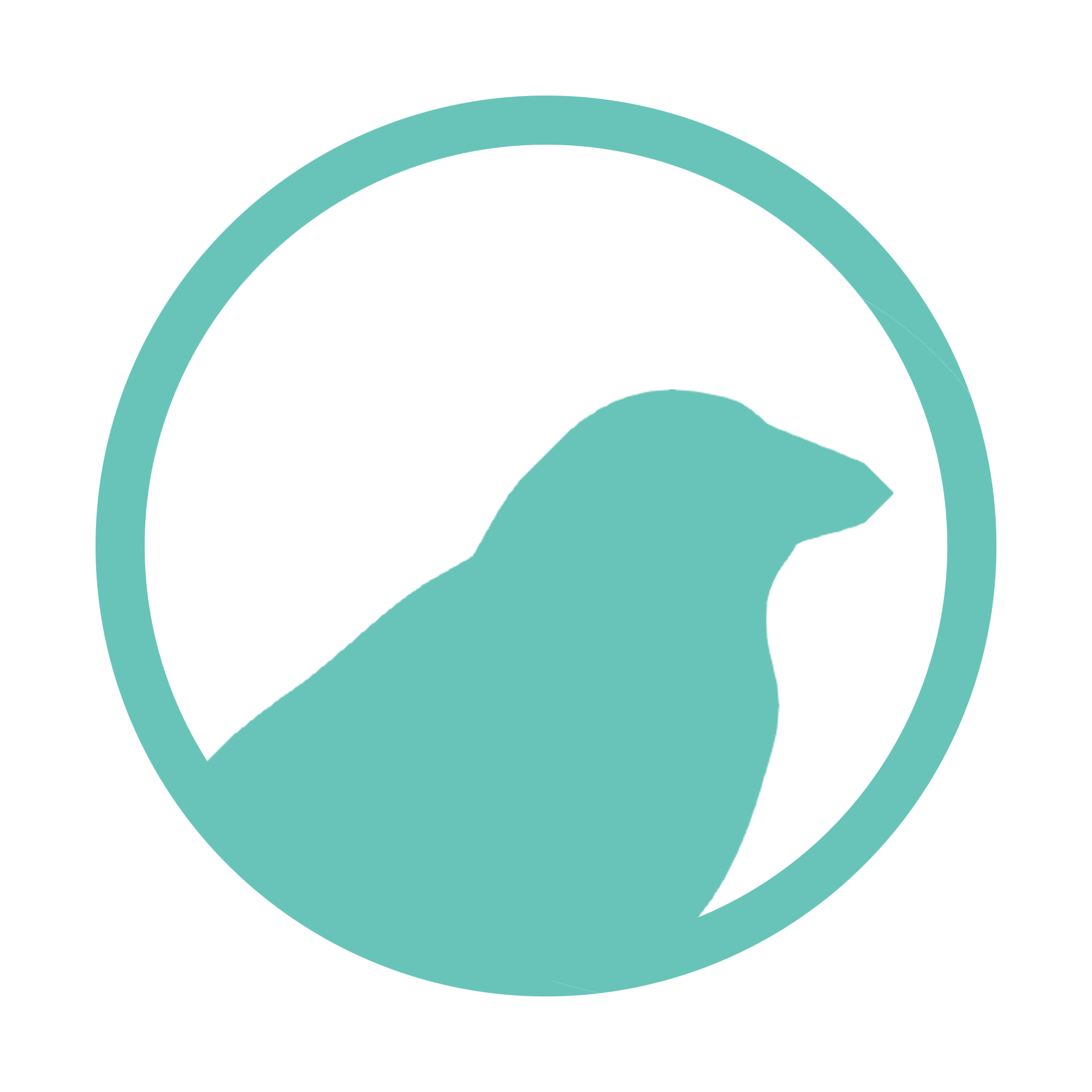 Buy Bird Supplies Online JEPetz Pet Supplies Singapore