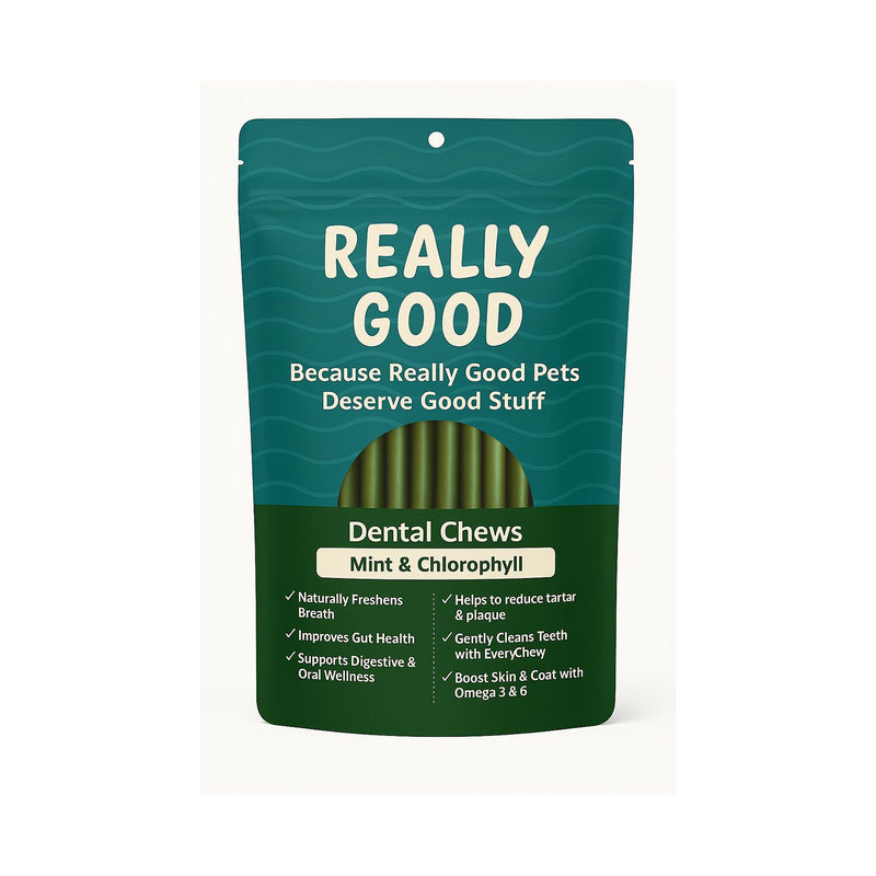 Really Good Mint & Chlorophyll Dental Chew