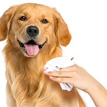 Vet's Best Flea & Tick Wipes for Dog & Cat