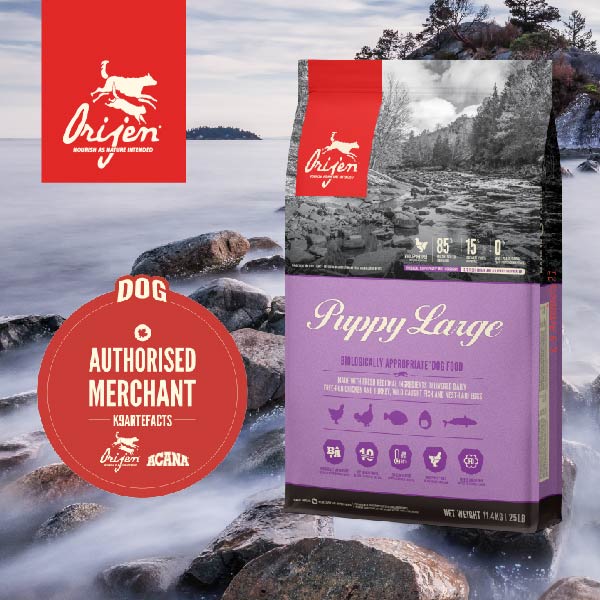ORIJEN Large Breed Puppy Dog Dry Food 11.4kg