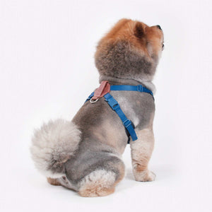 Sputnik Comfort Blue Dog Harness
