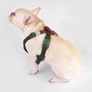 Sputnik Comfort Green Dog Harness