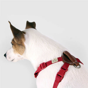 Sputnik Comfort Red Dog Harness