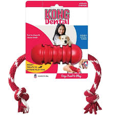 Kong Dental With Rope Dog Toy