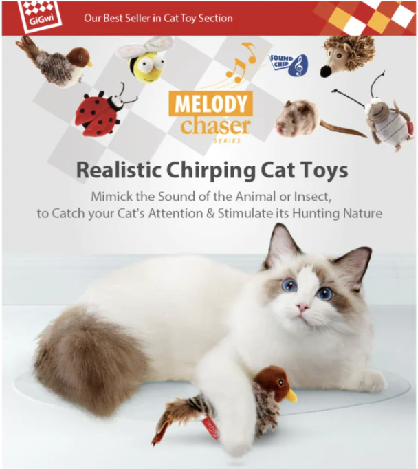 GiGwi Melody Chaser Melody Chaser Motion Activated Sound Toy for Cats JEPetz Pet Supplies Singapore