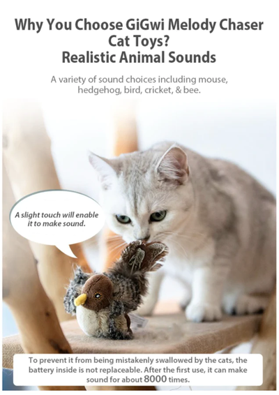 GiGwi Melody Chaser: Melody Chaser Motion Activated Sound Toy for Cats