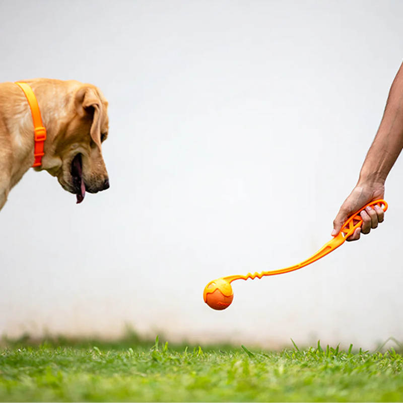 Skipdawg Series: Ball Launcher