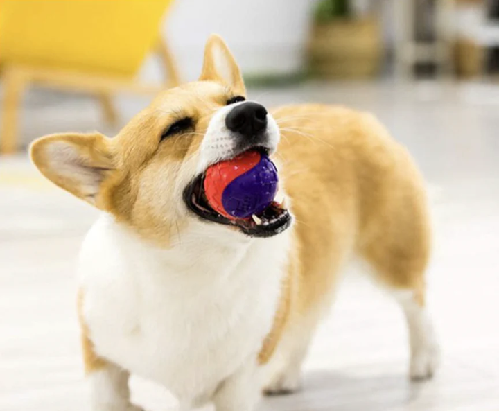 AB77- Khám Phá Thế Giới Giải Trí Đỉnh Cao - Https//ab77.ong/