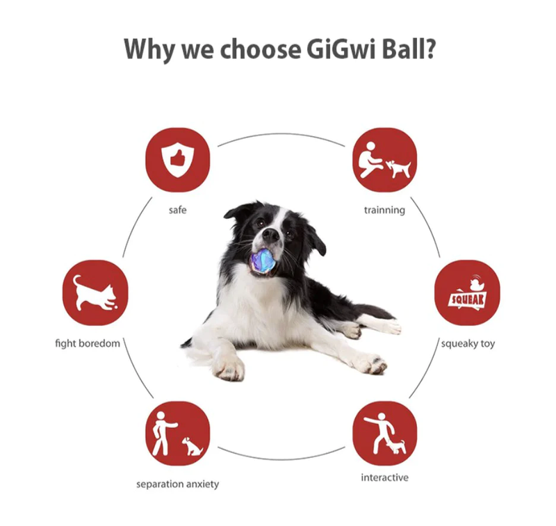 GiGwi Ball Series: Individual (colour given at random unless stated in remarks)