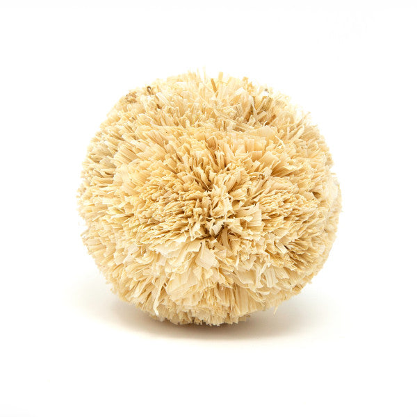 Oxbow Enriched Life Play Pom